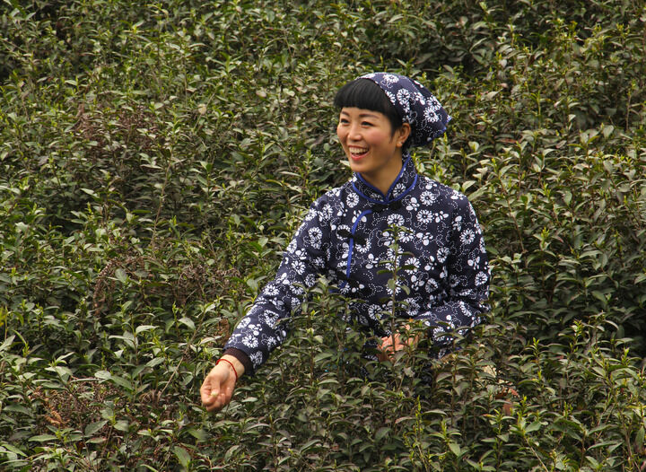 直播电影2-在线观看不收费的直播